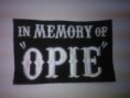SOA 008